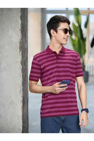 Louis Philippe Men Magenta Striped Polo Collar Pure Cotton T-shirt