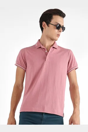 Campus Polo Collar Cotton T-shirt