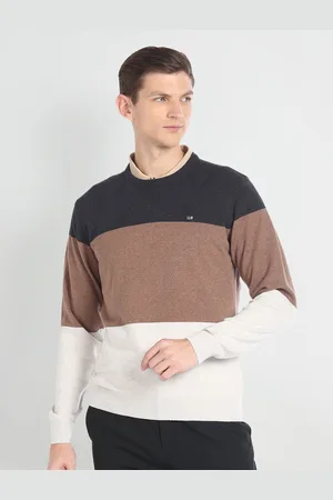Arrow Colourblocked Pure Cotton Pullover