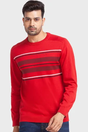 ColorPlus Men Striped Cotton Pullover