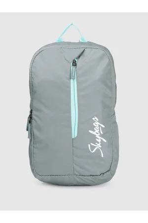 SKYBAGS Unisex Brand Logo Backpack 30 L Laptop Backpack Blue - Price in  India | Flipkart.com