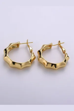 ZIVOM Gold-Plated Circular Hoop Earrings