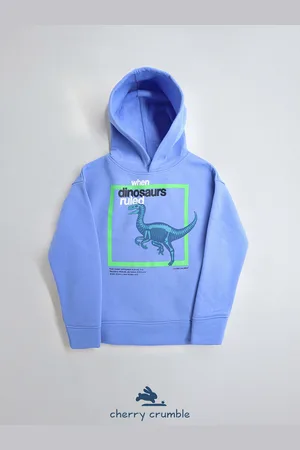 Cherry Crumble Boys Graphic Printed Hooded Pullover