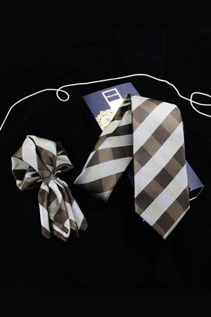 PELUCHE Men Checkered Neck Tie & Pocket Square Set