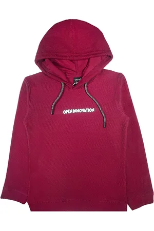 CAVIO Boys Hooded Long Sleeves Pullover Cotton Sweatshirt