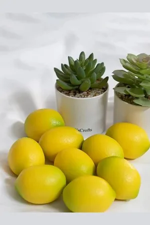 Babymoon Infants Set Of 20 Non-Toxic Mini Lemon Baby Photoshoot Props