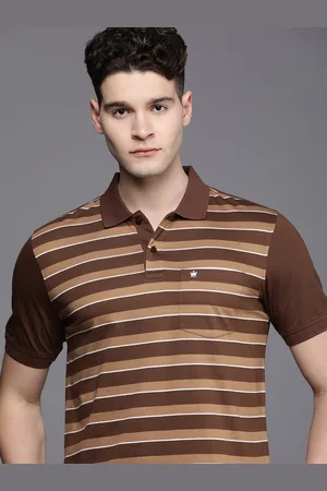 Louis Philippe Men Striped Polo Collar Pure Cotton T-shirt