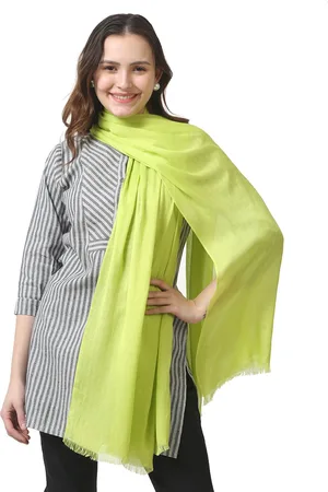 Aditi Wasan Fringed Border Stole