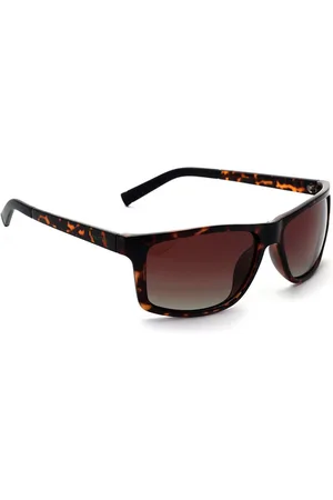 Nautica Men Brown Lens & Brown Rectangle Sunglasses with Polarised and UV Protected Lens