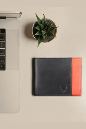 Hidesign Men Colourblocked Leather Two Fold Wallet