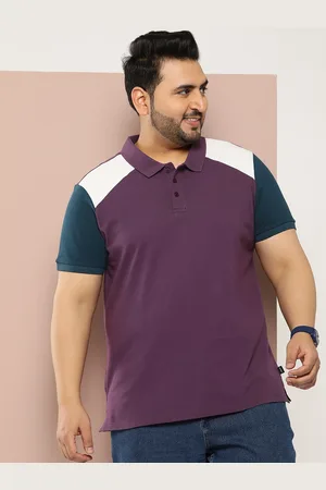 Sztori Men Plus Size Colourblocked Polo Collar Relaxed Fit T-shirt