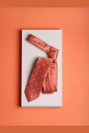 Louis Philippe Men Printed Skinny Tie