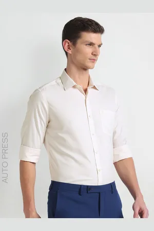 Arrow Striped Spread Collar Long Sleeves Slim Fit Opaque Autopress Formal Shirt