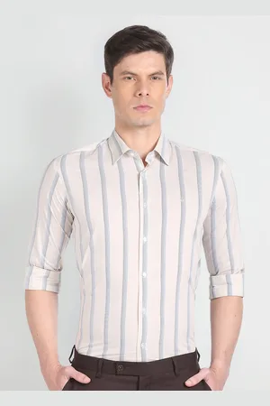 Arrow Slim Fit Striped Spread Collar Long Sleeves Formal Shirt
