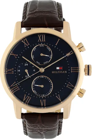Tommy Hilfiger Men Blue Analogue Watch TH1791399