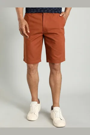 Indian Terrain Men Slim Fit Mid-Rise Regular Cotton Shorts