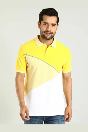 Indian Terrain Men Colourblocked Polo Collar Pure Cotton T-shirt