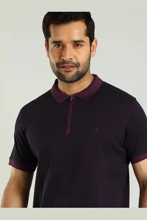 Indian Terrain Men Polo Collar T-shirt