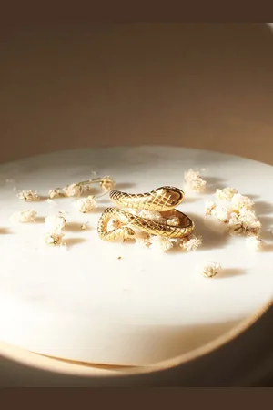 Salty Timeless Serpent Finger Ring