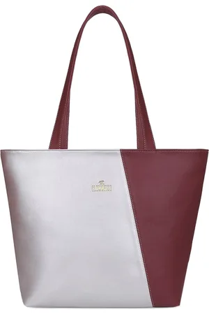 THE CLOWNFISH Jewel Women Silver-Toned Colourblocked Structured Shoulder Bag