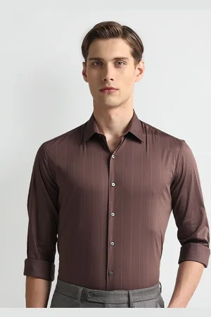Arrow Slim Fit Vertical Stripes Twill Spread Collar Long Sleeves Formal Shirt