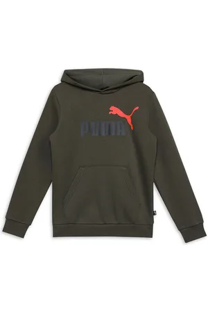 PUMA Ess+ 2 Col Big Logo Hoodie Boys Hoodie Sweatshirts