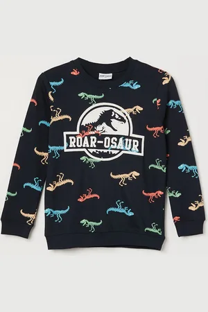 Lifestyle Boys Printed Sweatshirt