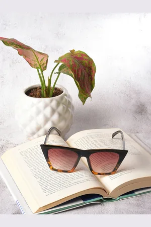 Campus Sutra Women Butterfly Sunglass with UV Protected Lens SUM23_HSSG1037