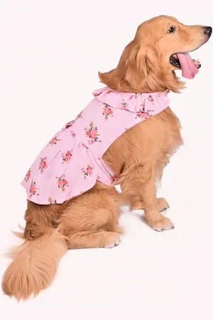 Vastramay Graphic Printed Rayon Dog Dress