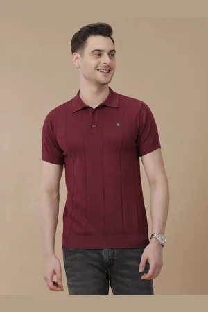 Linen Club Men Maroon Striped Short Sleeves Polo Collar Linen Blend Slim Fit T-shirt