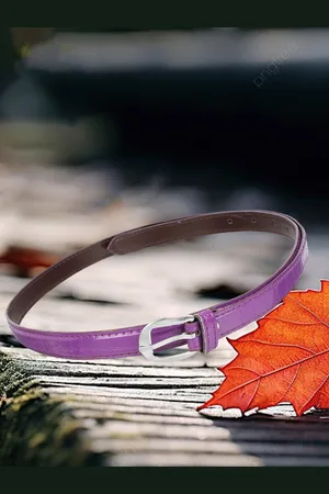 Mast & Harbour Women Textured Slim Casual Belt