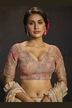 SALWAR STUDIO Women Embroidered Padded Readymade Saree Blouse