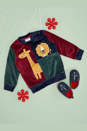 Pantaloons Boys Animal Embroidered Sweatshirt