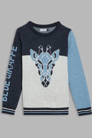 Blue Giraffe Boys Colourblocked Pullover