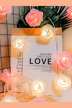 Homesake Yellow & Rose Shape String Lights