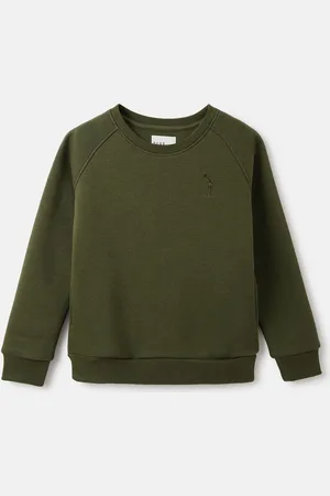 Blue Giraffe Boys Cotton Pullover Sweatshirt