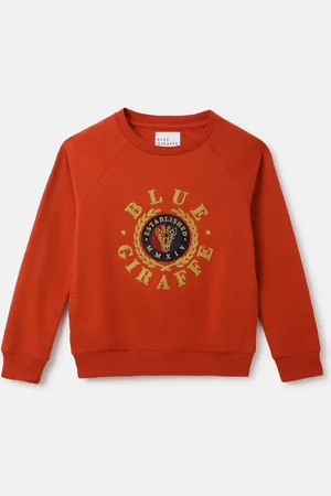 Blue Giraffe Boys Embroidered Cotton Pullover Sweatshirt