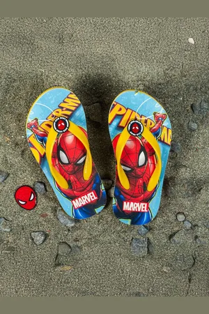 toothless Boys Printed Thong Flip-Flops