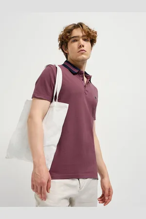 The Bear House Men Solid Polo Collar Cotton T-shirt