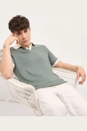The Bear House Men Solid Polo Collar Cotton T-shirt