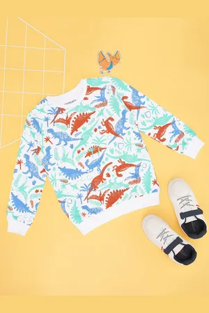 Pantaloons Boys Printed Cotton Pullover Sweatshirt