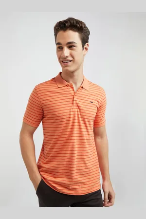 Park Avenue Men Striped Polo Collar Slim Fit T-shirt
