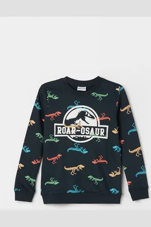 Lifestyle Boys Graphic Printed Round Neck Cotton Sweatshirt