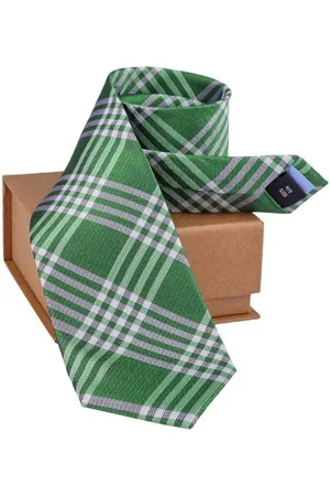 The Tie Hub Men Checked Skinny Tie