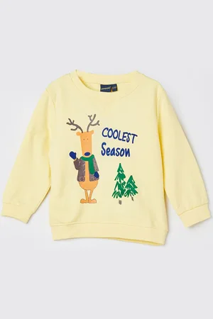 Lifestyle Boys Printed Long Sleeves Round Neck Sweatshirt