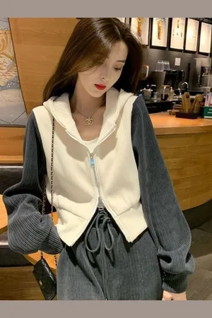 HERE&NOW Women Colourblocked Hooded Sweatshirt