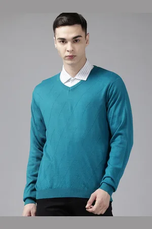 Park Avenue Geometric Self Design V-Neck Sweater