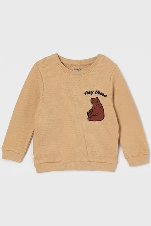 Lifestyle Boys Embroidered Pullover Sweatshirt