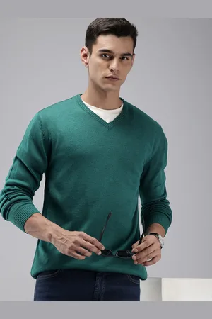 Park Avenue Slim Fit V-Neck Pullover Sweaters