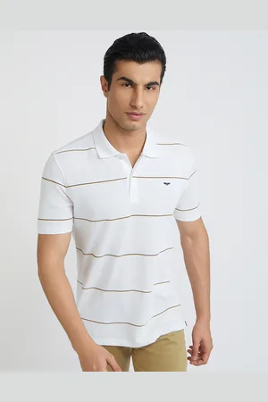 Park Avenue Men Striped Polo Collar Slim Fit T-shirt